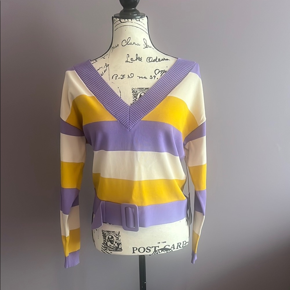 Striped V-Neck Sweater with Belt